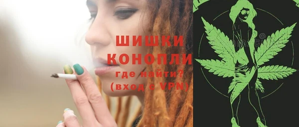 шишки Балабаново