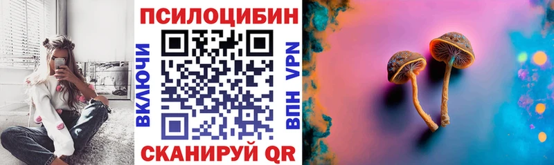 Купить закладки  Мезень  Галлюциногенные грибы мухоморы 